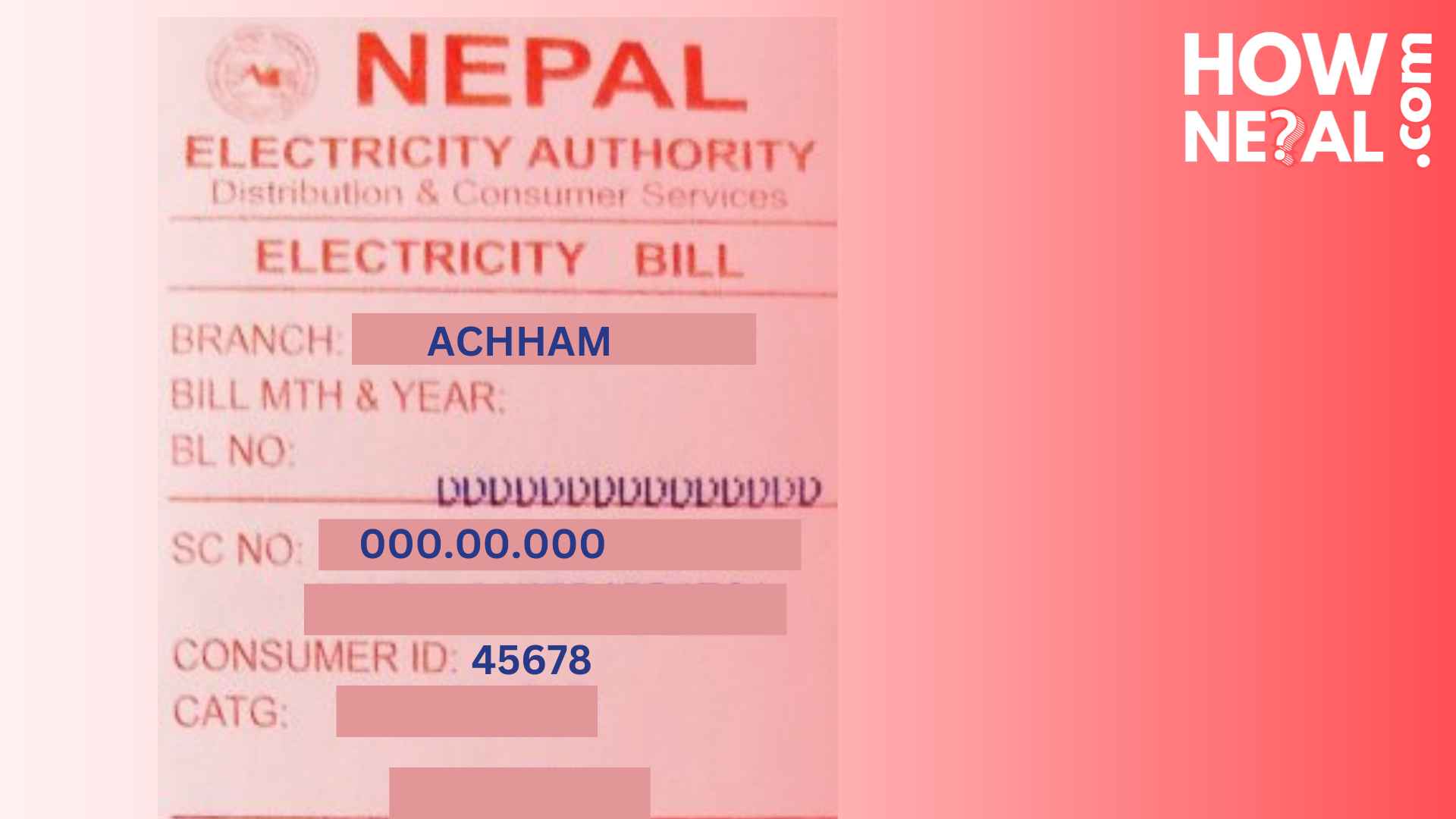 pay-electricity-bill-online-Nepal-2024